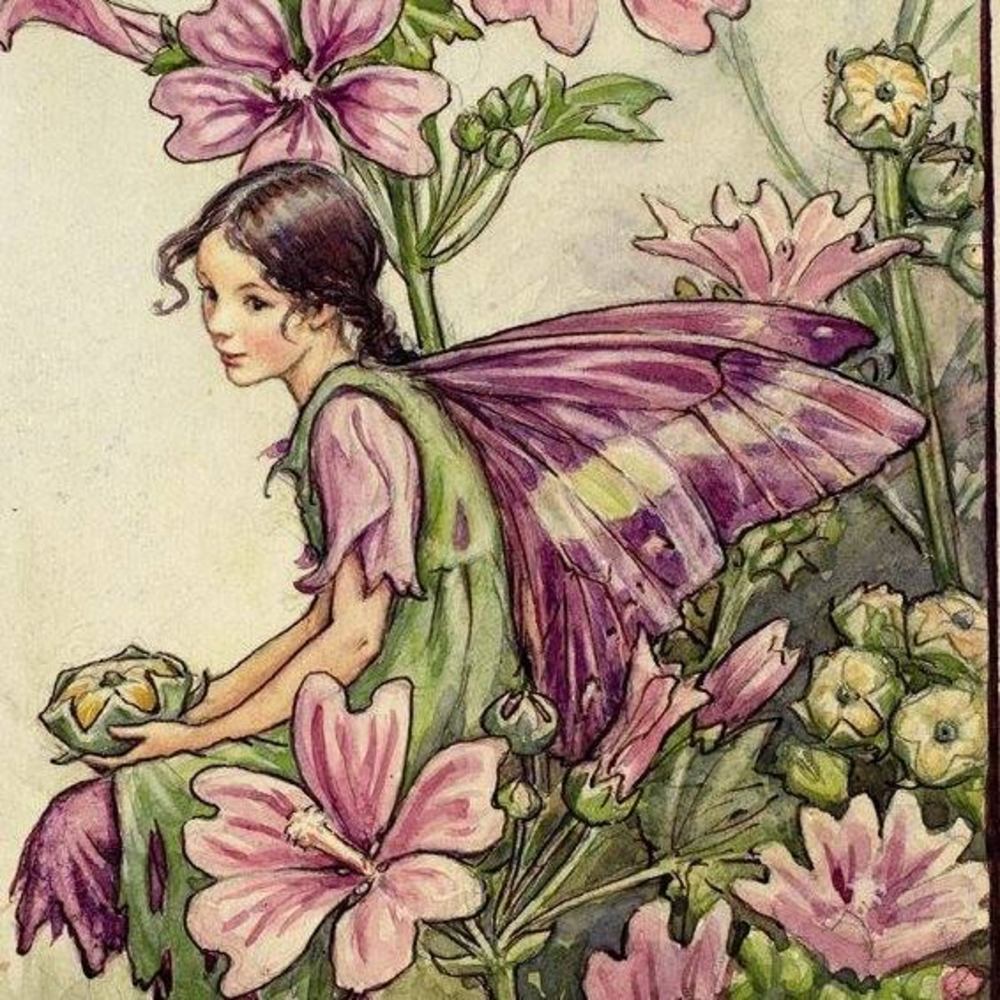 Carrie's page